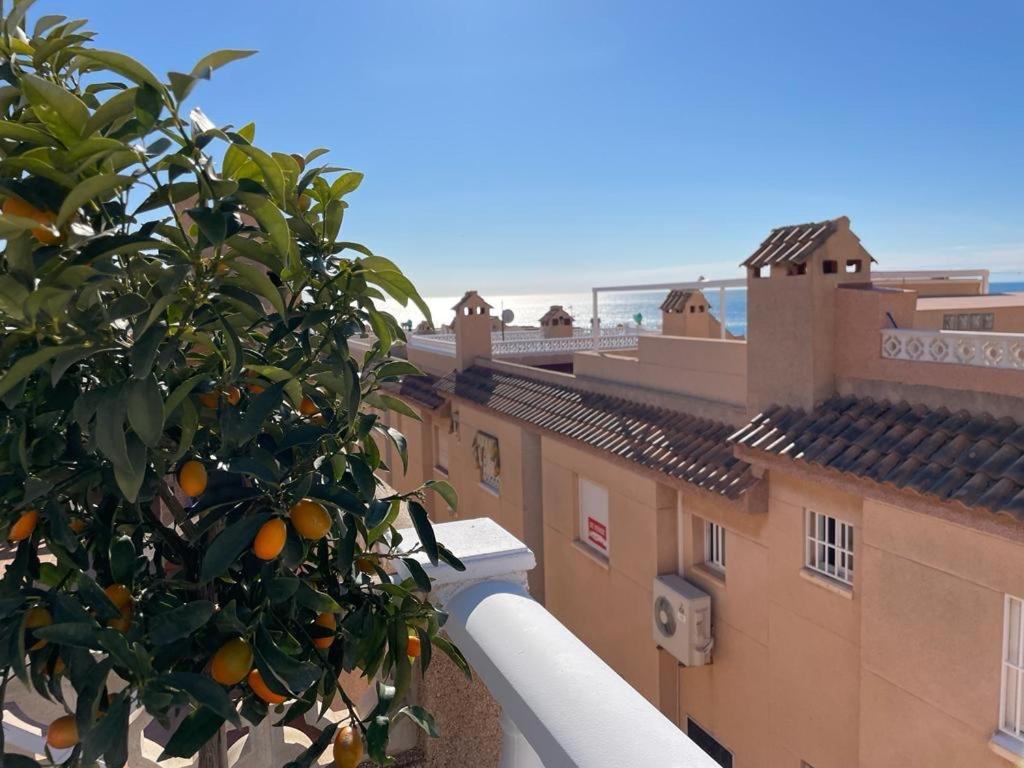 Apartament La Mata Torrevieja Exterior photo